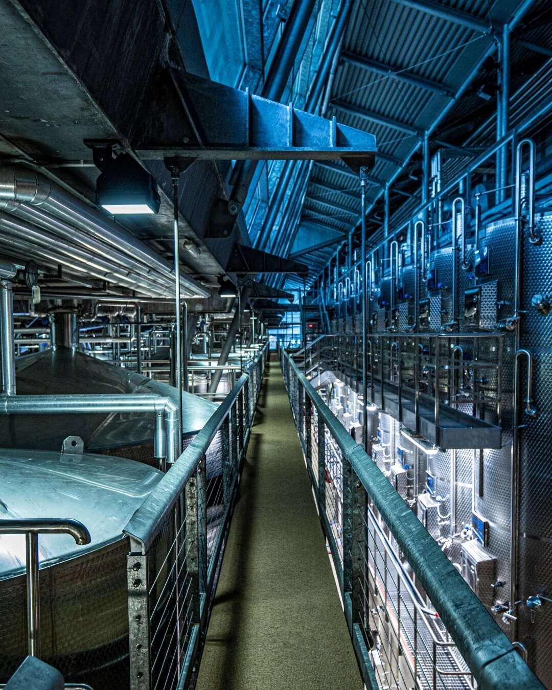 Content Dam Org 5 Images Full Rights Piana Rotaliana Shopping Cantine E Distillerie Rotari 2021 Ph Federico Graziati 11