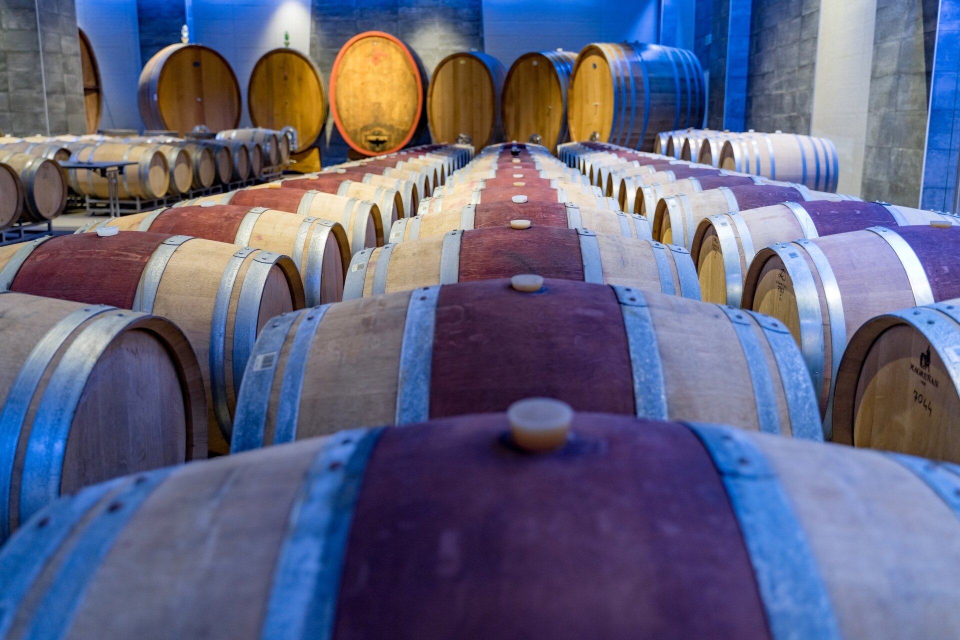 Content Dam Org 5 Images Full Rights Piana Rotaliana Shopping Cantine E Distillerie Rotari 2021 Ph Giorgio Monticelli 2