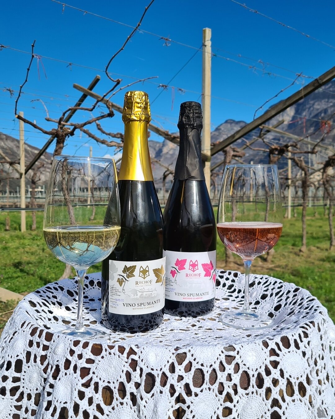 Content Dam Org 5 Images Full Rights Piana Rotaliana Shopping Cantine E Distillerie Rechof Rechof Bottiglie Rotaliana