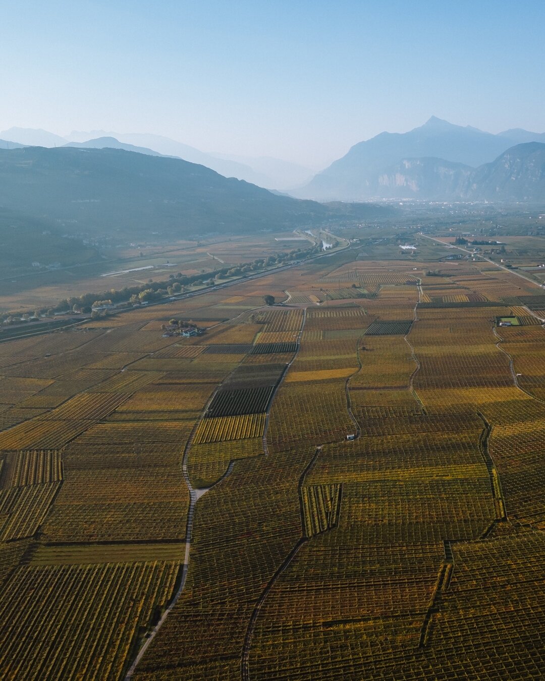 Content Dam Org 5 Images Full Rights Piana Rotaliana Shopping Cantine E Distillerie Rechof Rechof Vigneti Autunno Rotaliana