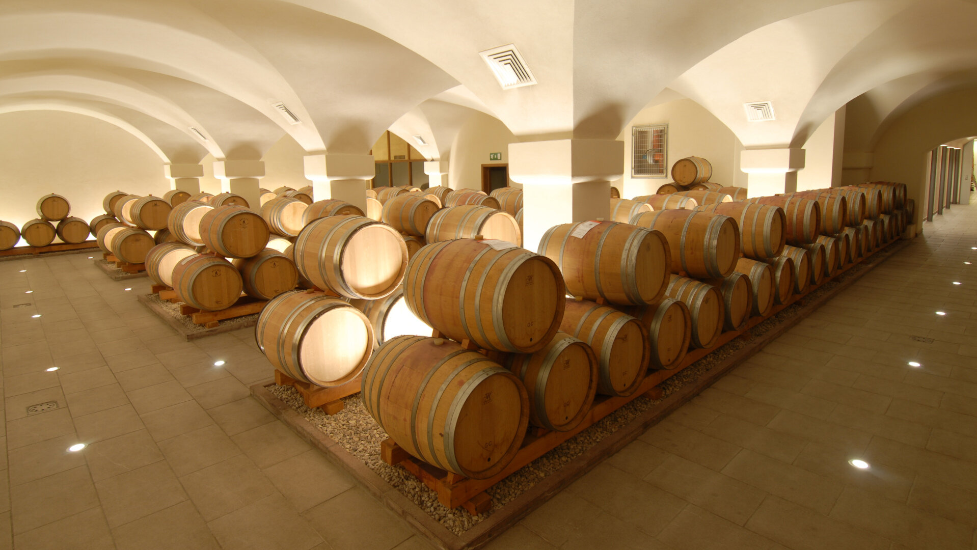 Content Dam Org 5 Images Full Rights Piana Rotaliana Shopping Cantine E Distillerie Cantina Rotaliana Cantina Rotaliana Rotaliana Gianni Zotta Barricaia