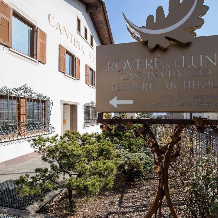 Roverè della Luna Aichholz Winery