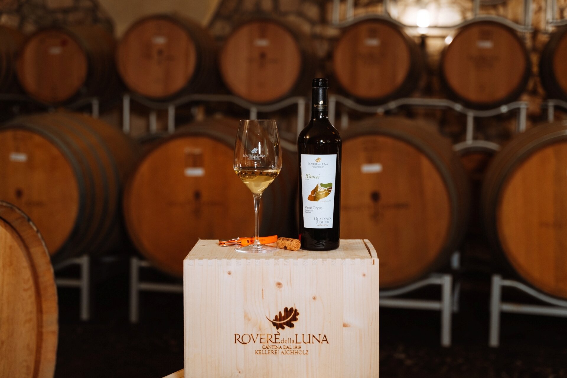 Content Dam Org 5 Images Full Rights Piana Rotaliana Shopping Cantine E Distillerie Cantina Rovere Della Luna Cs Rovere Della Luna Ph Nicola Cagol 4