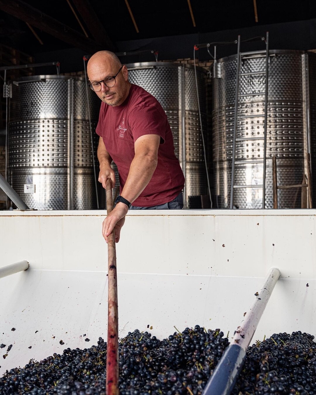 Zanini Luigi Winery