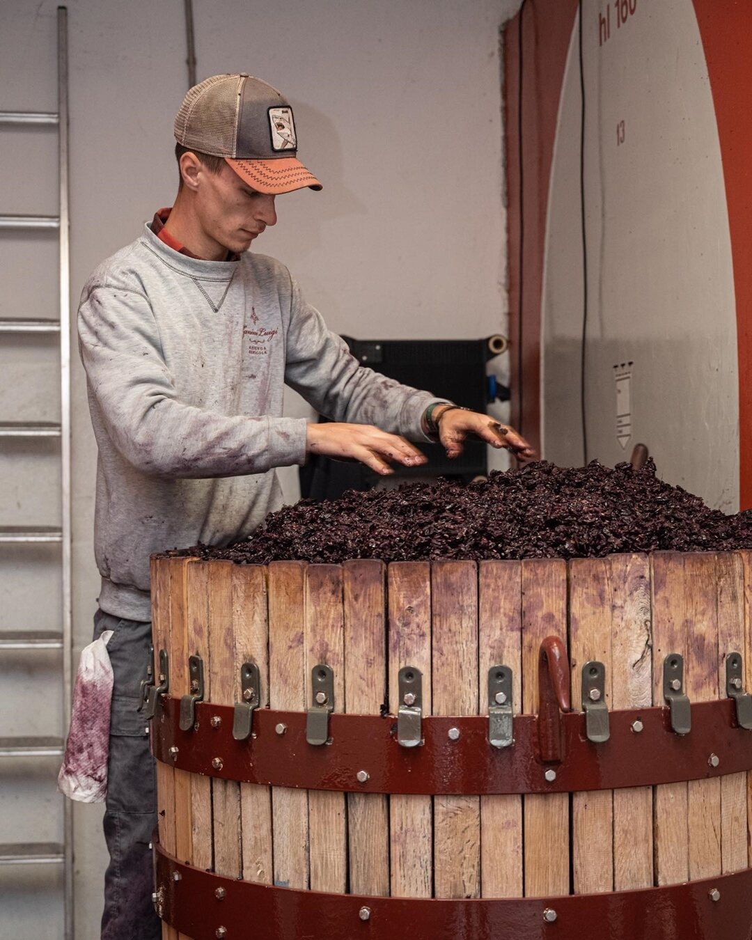 Content Dam Org 5 Images Full Rights Piana Rotaliana Shopping Cantine E Distillerie Cantina Zanini Luigi Zanini Luigi Rotaliana