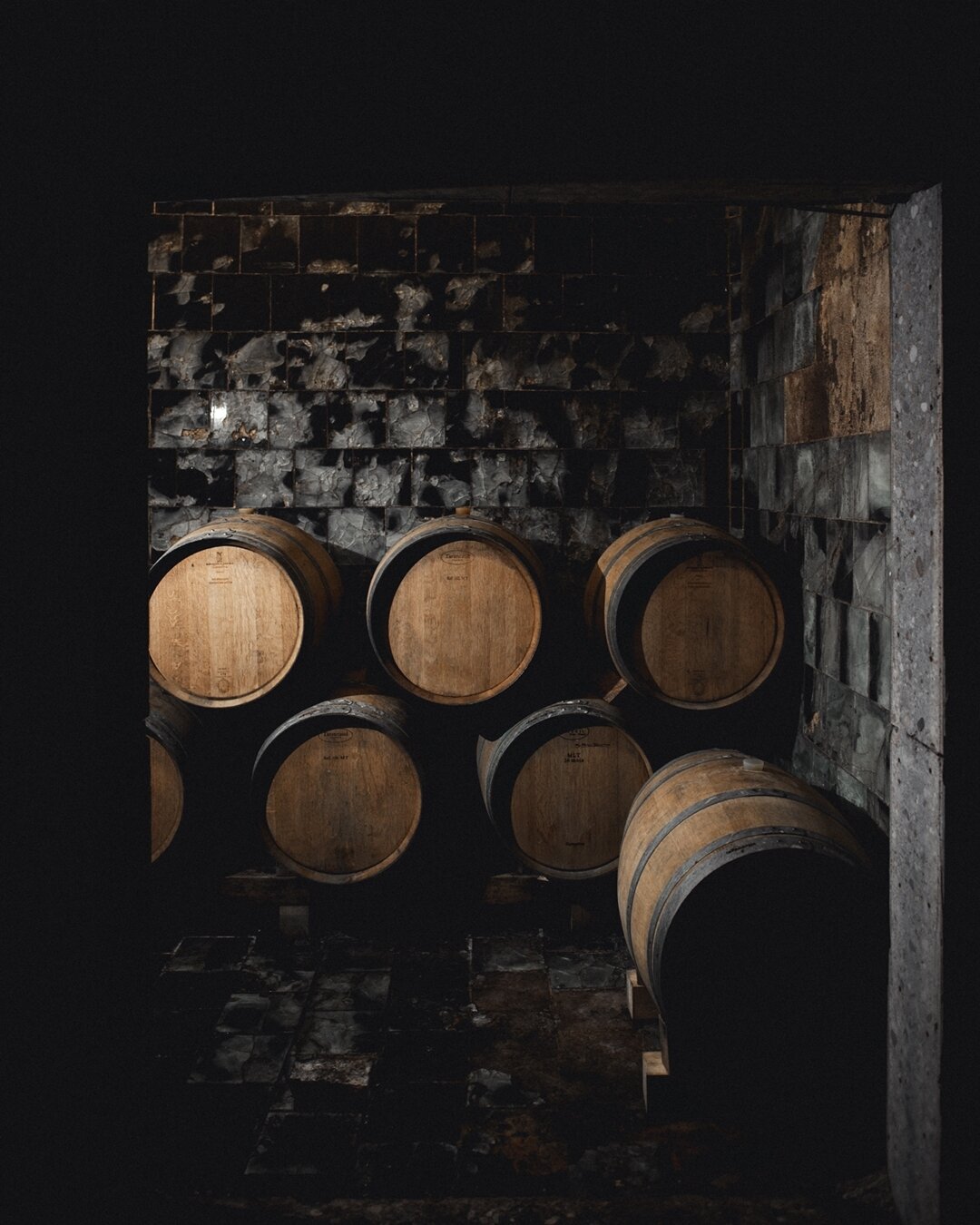 Content Dam Org 5 Images Full Rights Piana Rotaliana Shopping Cantine E Distillerie Cantina Monfort Monfort Rotaliana3