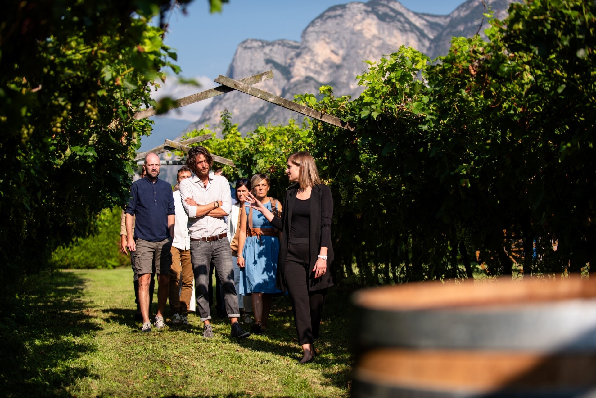 Content Dam Org 5 Images Full Rights Piana Rotaliana Shopping Cantine E Distillerie Distillerie Bertagnolli 2023 Tour Degustazione Bertagnolli 1