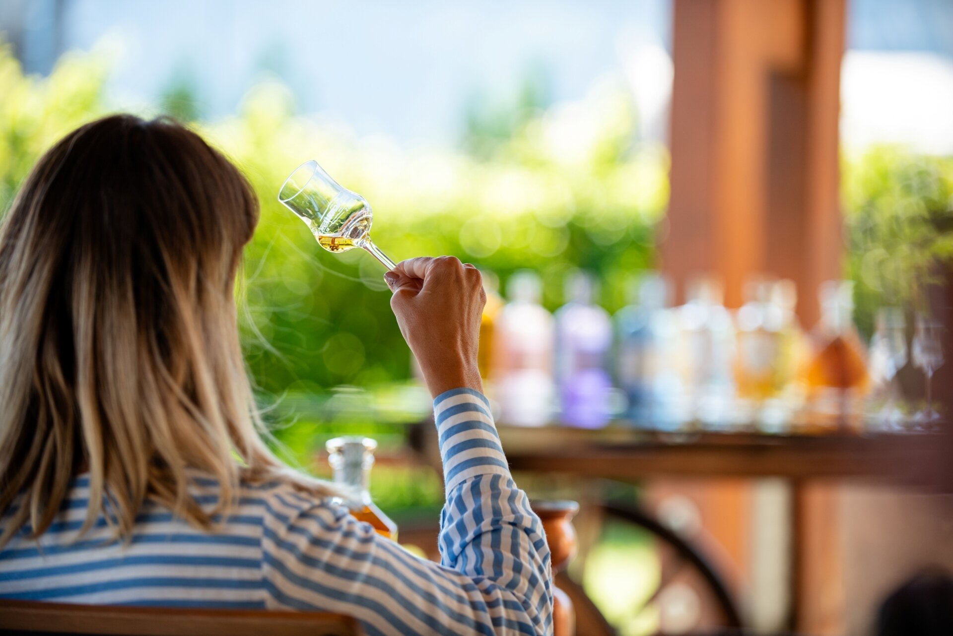 Content Dam Org 5 Images Full Rights Piana Rotaliana Shopping Cantine E Distillerie Distillerie Bertagnolli 2023 Tour Degustazione Bertagnolli 38