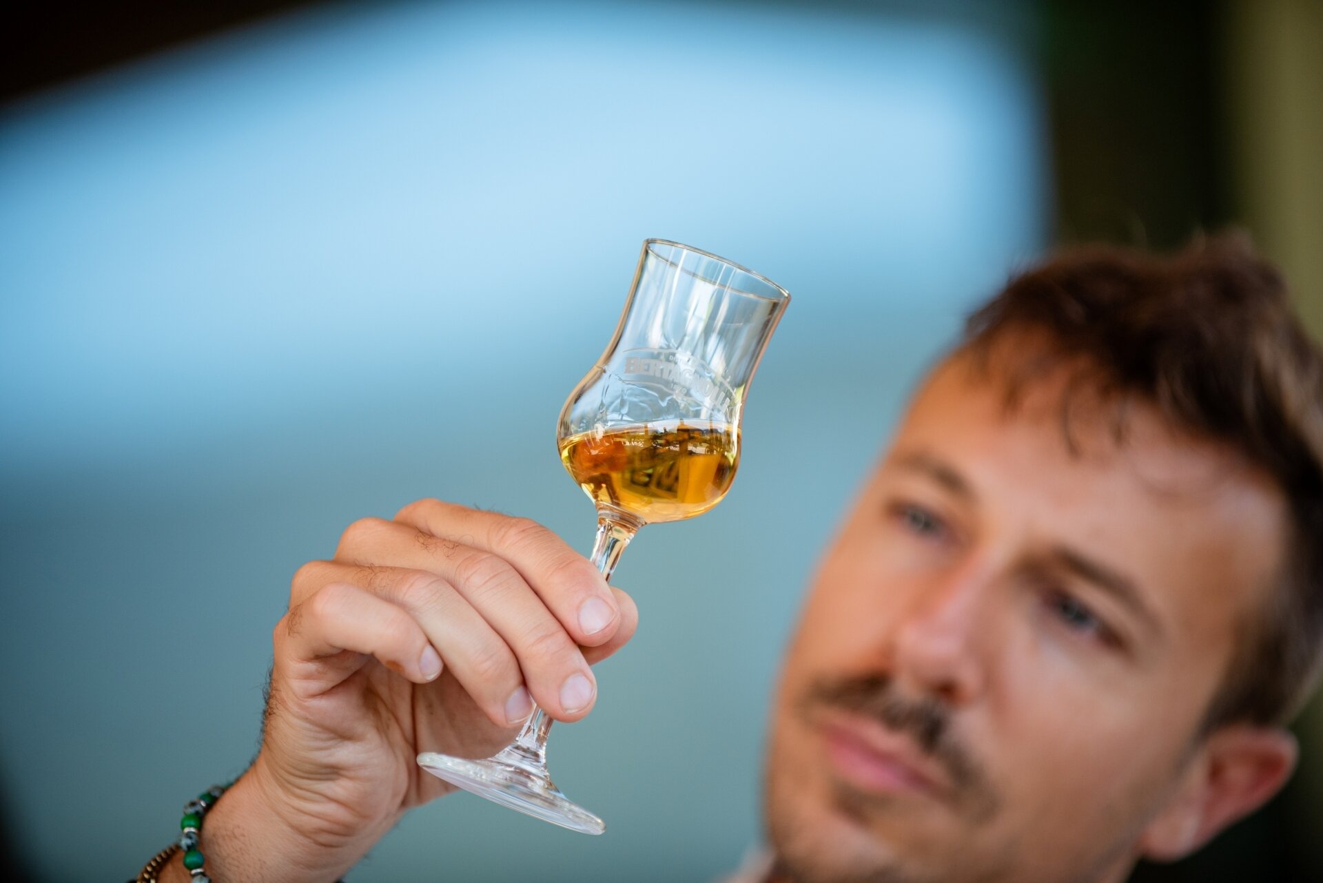 Content Dam Org 5 Images Full Rights Piana Rotaliana Shopping Cantine E Distillerie Distillerie Bertagnolli 2023 Tour Degustazione Bertagnolli 47