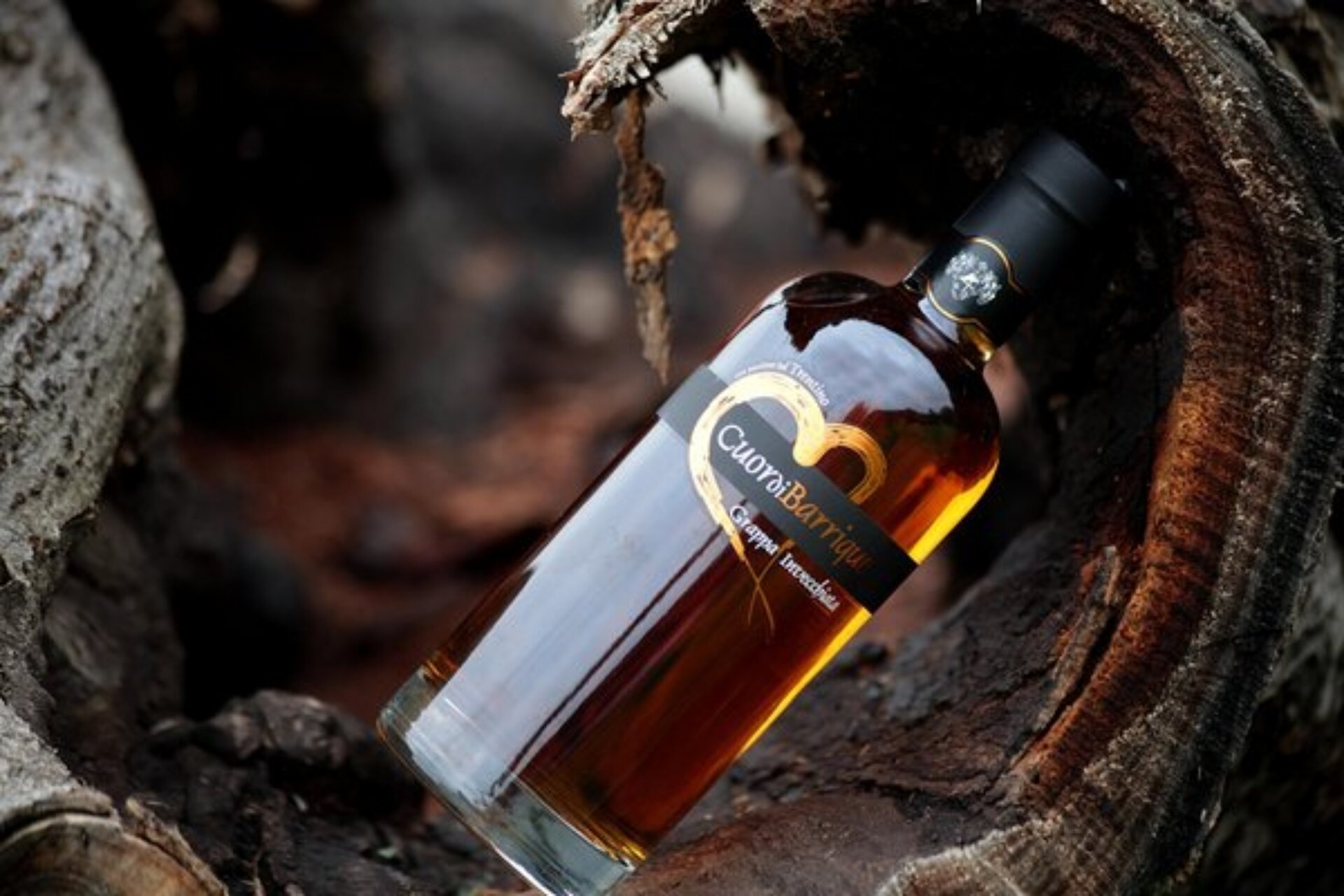 Content Dam Org 5 Images Full Rights Piana Rotaliana Shopping Cantine E Distillerie Distillerie Trentine 195732 Prima Distillerietrentine