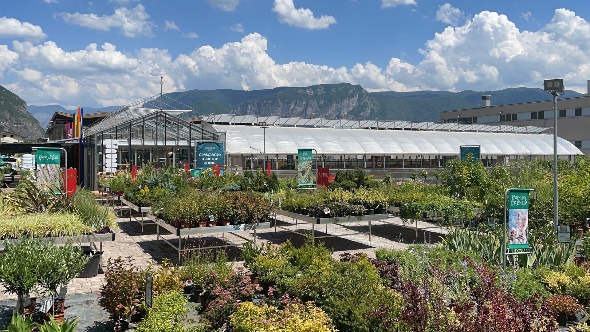 Content Dam Org 5 Images Full Rights Piana Rotaliana Shopping Produzioni Agricole Floricoltura Roncador Valentino Vivaio Floricolturaroncadorvalentino Rotaliana