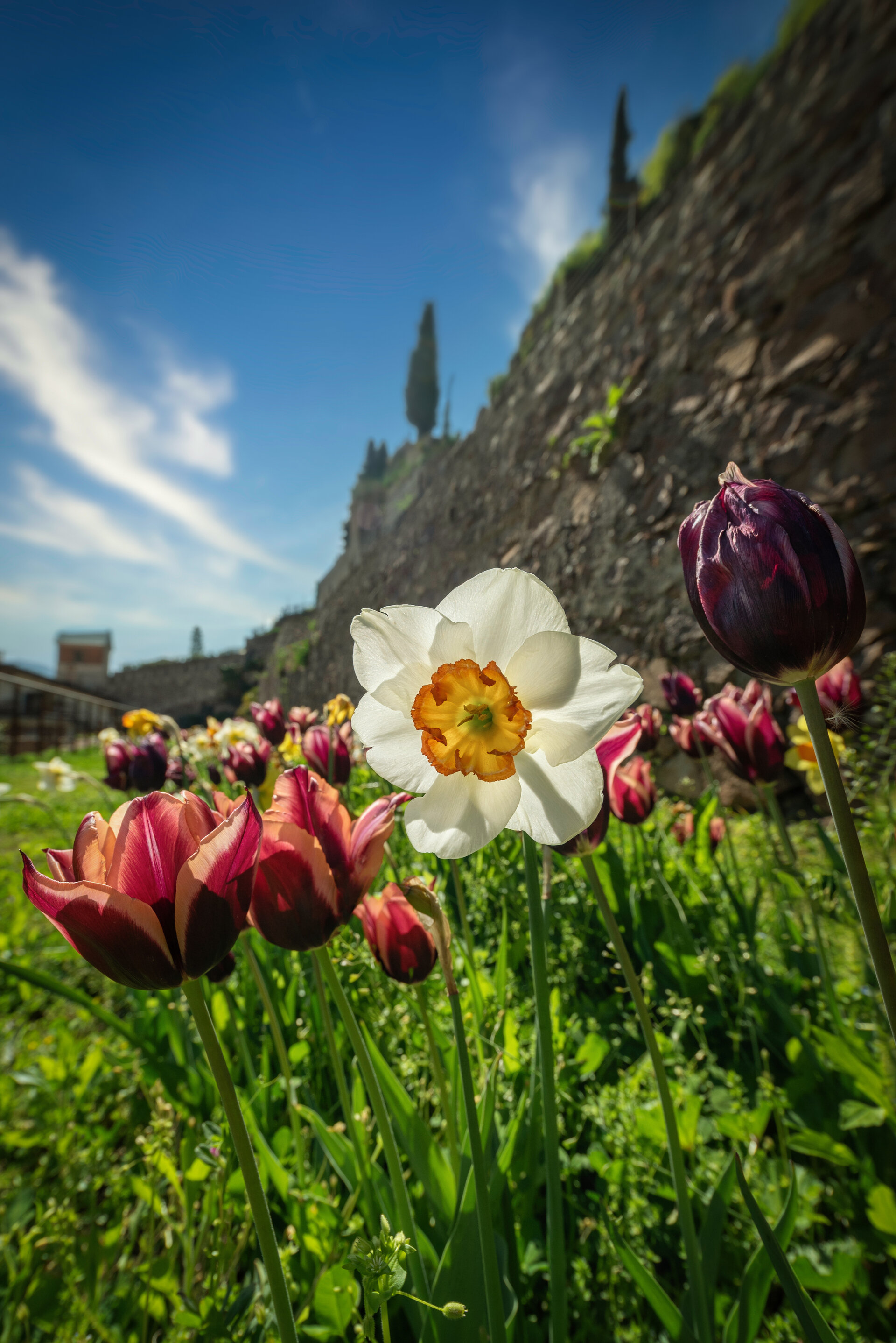 Content Dam Org 5 Images Full Rights Piana Rotaliana Cultura Giardino Dei Ciucioi Giardino Dei Ciucioi Gianni Penasa 2022 26