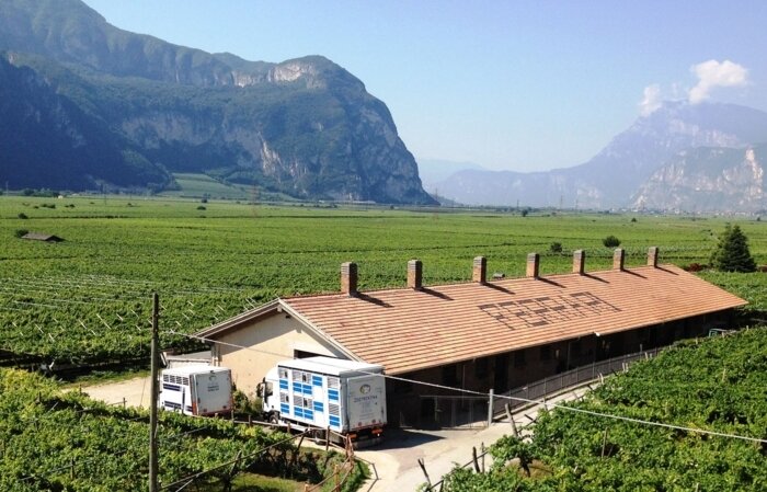 Content Dam Org 5 Images Full Rights Piana Rotaliana Shopping Produzioni Agricole Filiera Ferrari Filiera Ferrari Piana Rotaliana