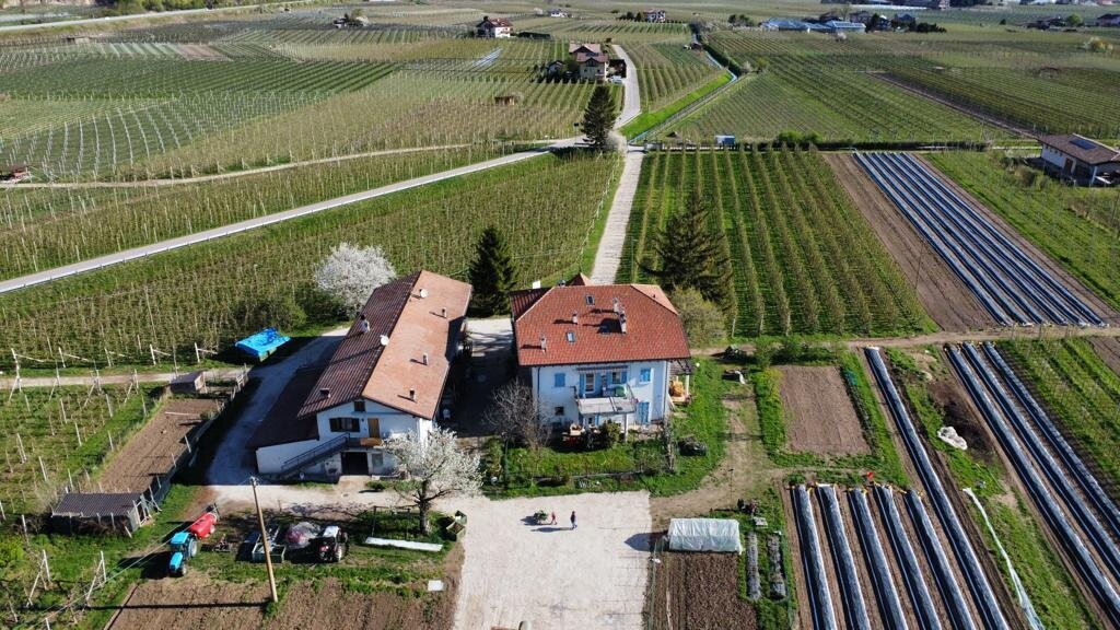 Content Dam Org 5 Images Full Rights Piana Rotaliana Shopping Produzioni Agricole Maso Rosabel Maso Rosabel Rotaliana