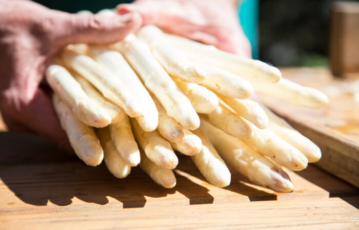 Zambana White Asparagus Producers