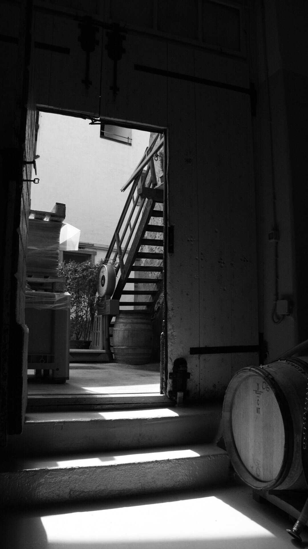 Content Dam Org 5 Images Full Rights Piana Rotaliana Shopping Cantine E Distillerie Piccola Azienda Agricola Redondel Redondelpiccolaazinedaagricola Rotaliana 1