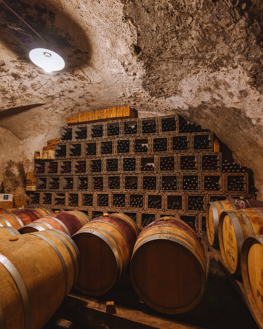 Content Dam Org 5 Images Full Rights Piana Rotaliana Shopping Cantine E Distillerie Cantina Dorigati Cantina Dorigati Rotaliana Cantina Ph Nicola Cagol