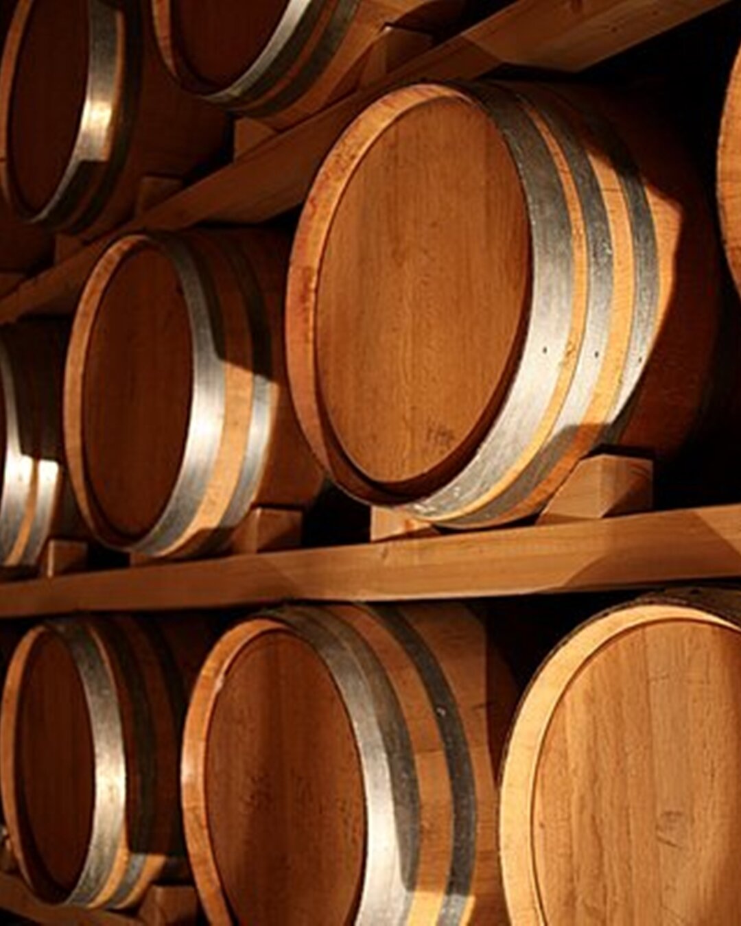 Content Dam Org 5 Images Full Rights Piana Rotaliana Shopping Cantine E Distillerie Distillerie Trentine Distillerie Trentine Botti 2024
