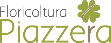 Ir Piazzera