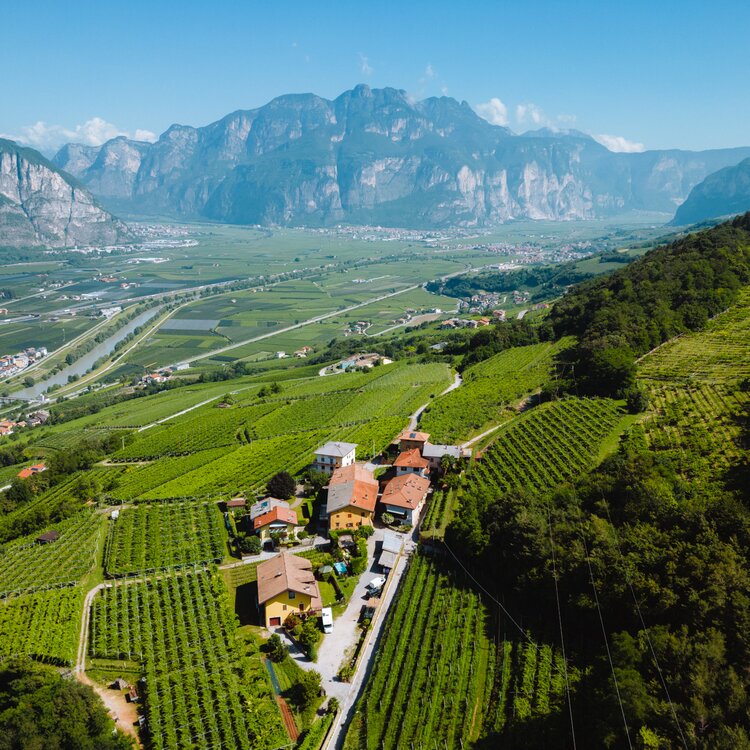 2022 06 23 Colline Avisiane   Ph. Nicola Cagol (4)