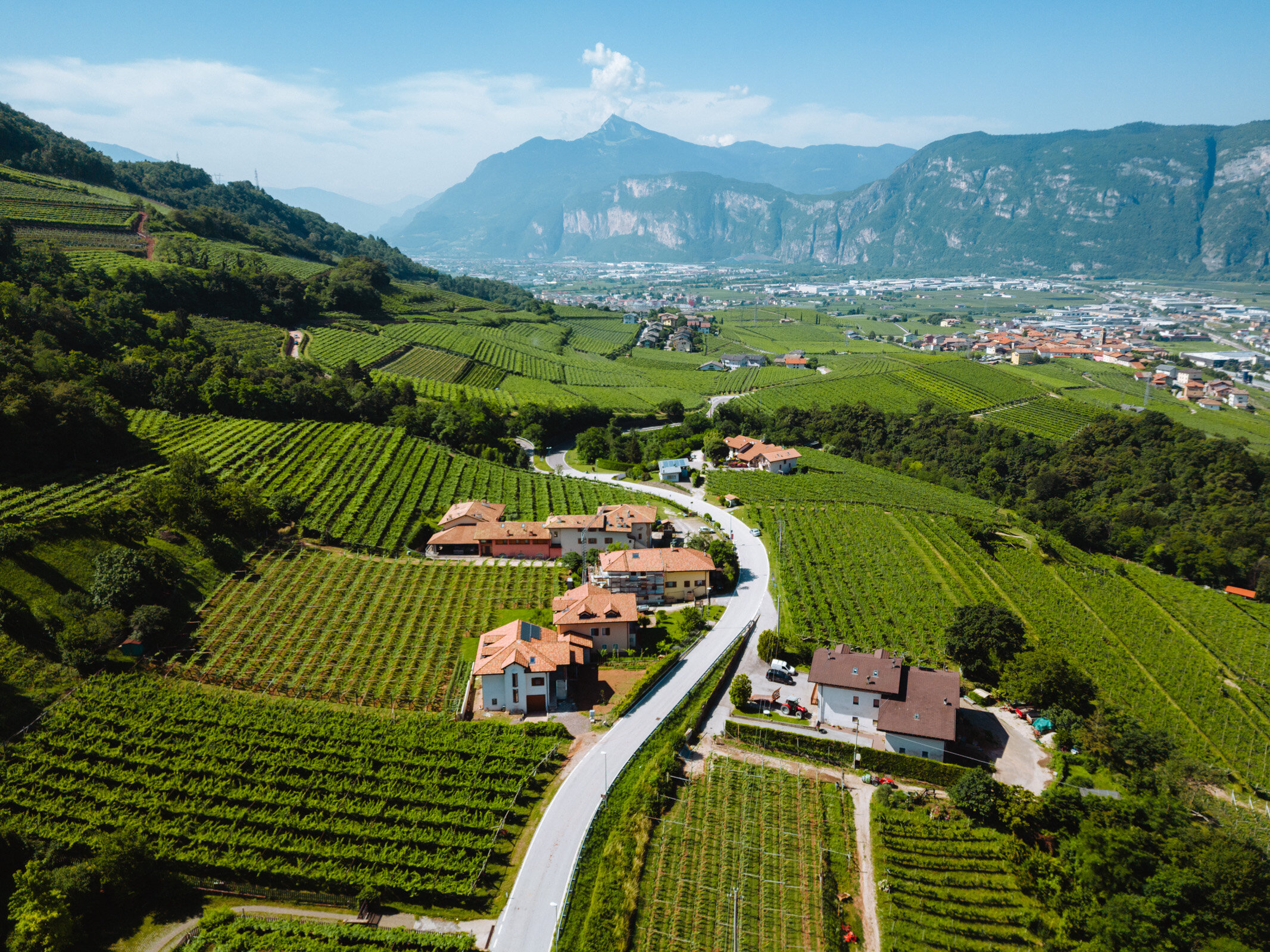 2022 06 23 Colline Avisiane   Ph. Nicola Cagol (8)