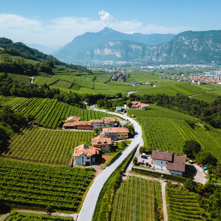 2022 06 23 Colline Avisiane   Ph. Nicola Cagol (8)