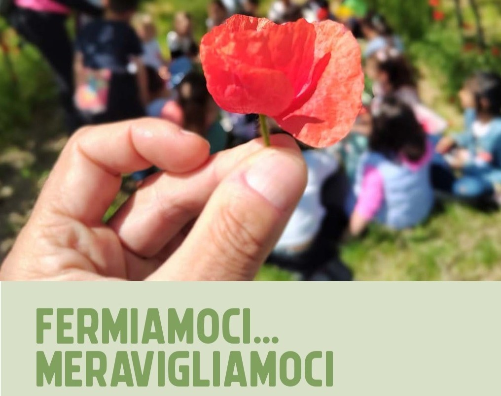 Libretto Fermiamoci Meravigliamoci 2