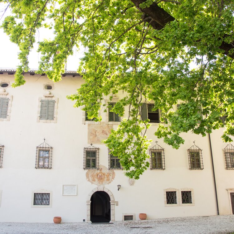 2017 06 14 Palazzi Mezzocorona Ph Alfredo Croce 10