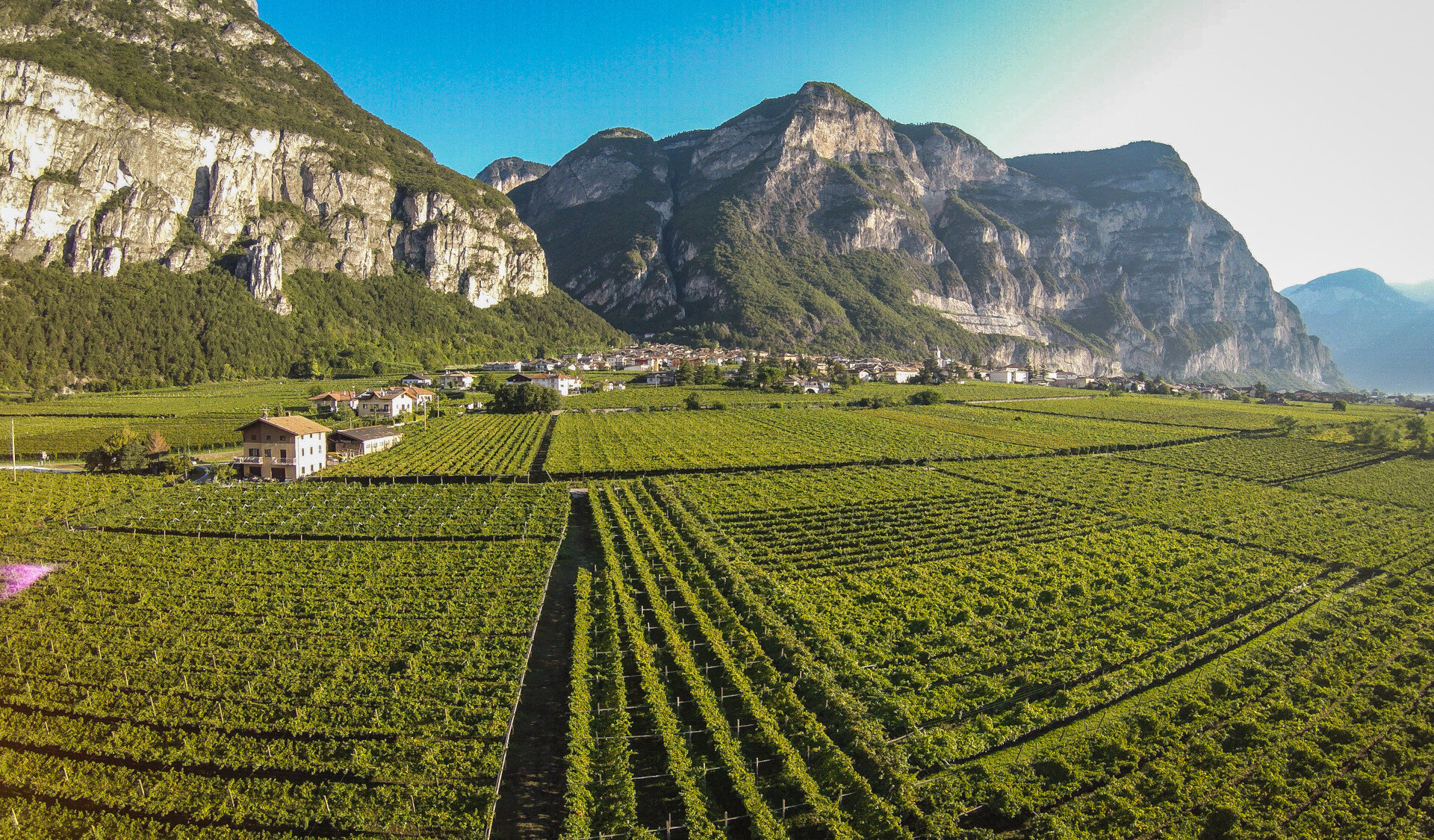 Cs Rovere Della Luna Panoramica Sui Vigneti