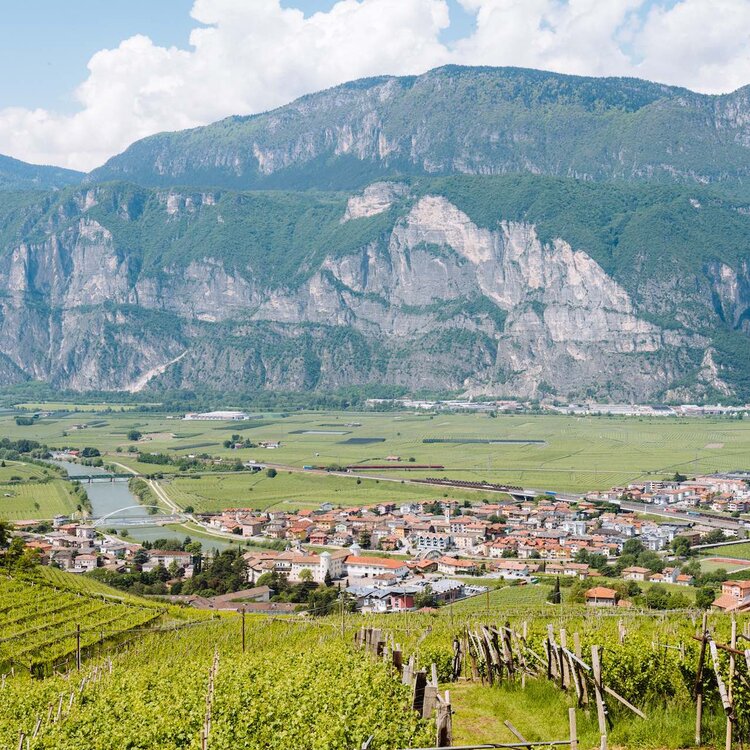 2023 06 19 San Michele All Adige   Ph. Nicola Cagol (3)