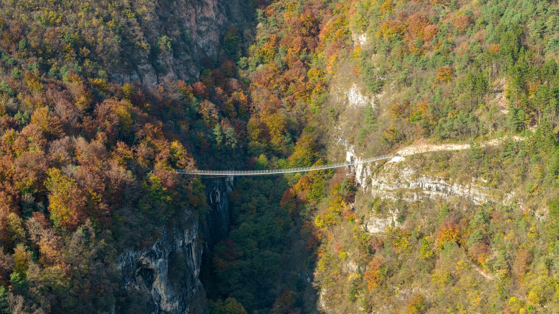 2024 Ponte Sospeso Mezzocorona Autunno Ph E Giovannini 7