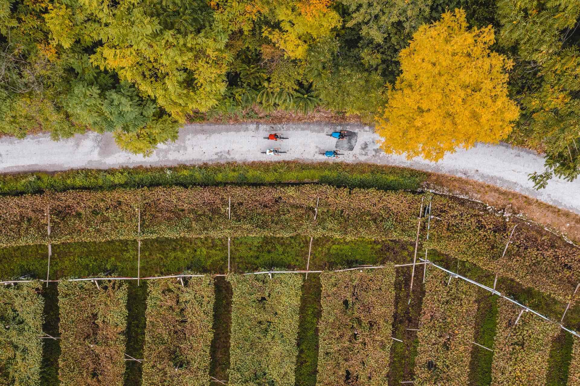 2023 Giro Del Vino 50   Ph. Mathäus Gartner (1)