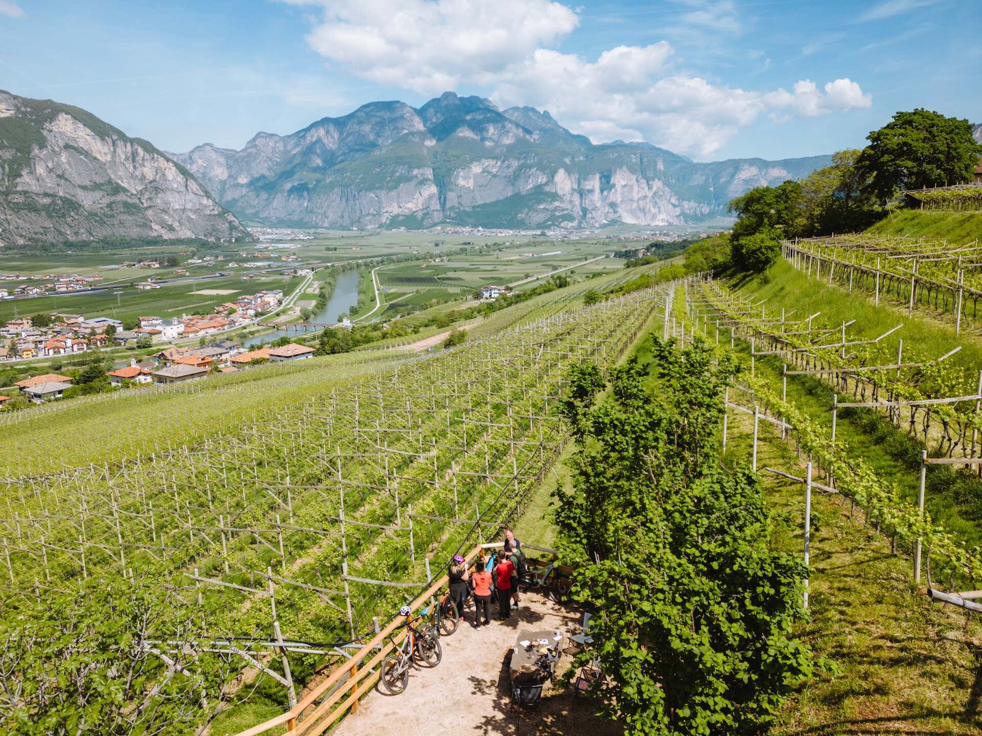 2023 05 04 Giro Del Vino 50   Ph. Nicola Cagol (4)