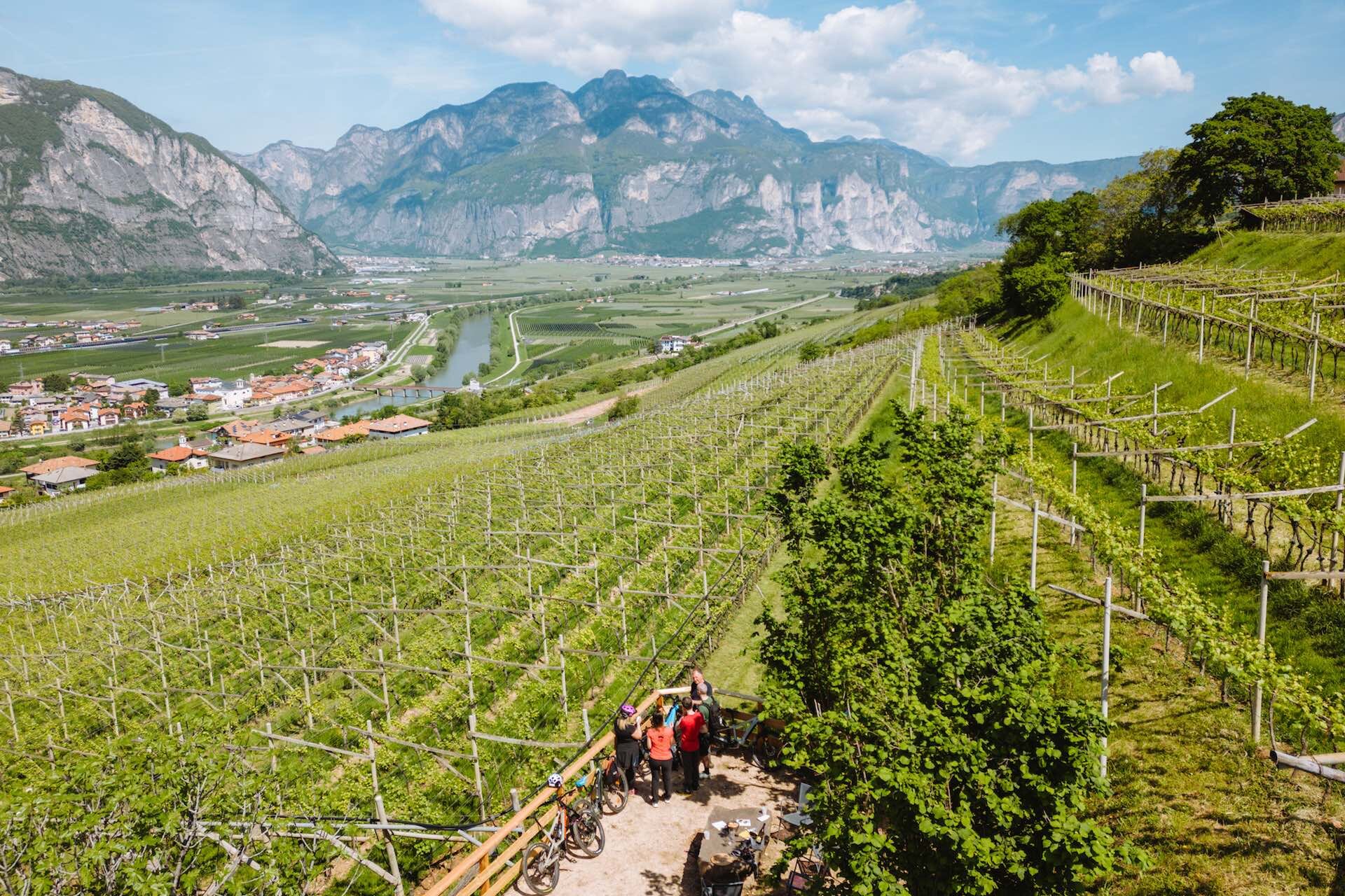 2023 05 04 Giro Del Vino 50   Ph. Nicola Cagol (4)