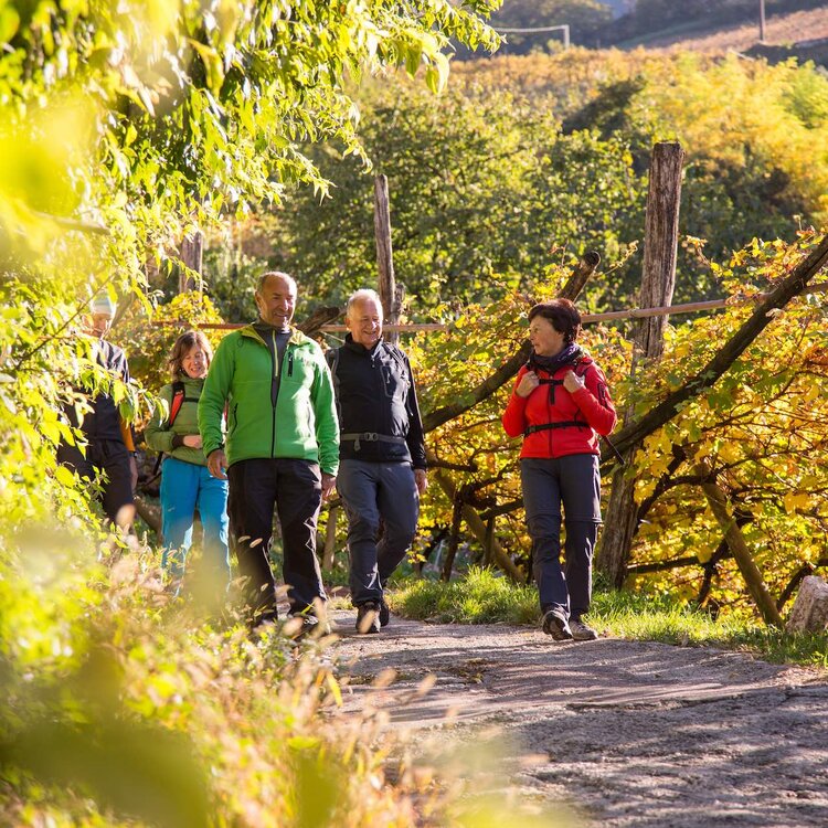 2017 10 27 Trekking Autunno   Ph. Alfredo Croce (3)