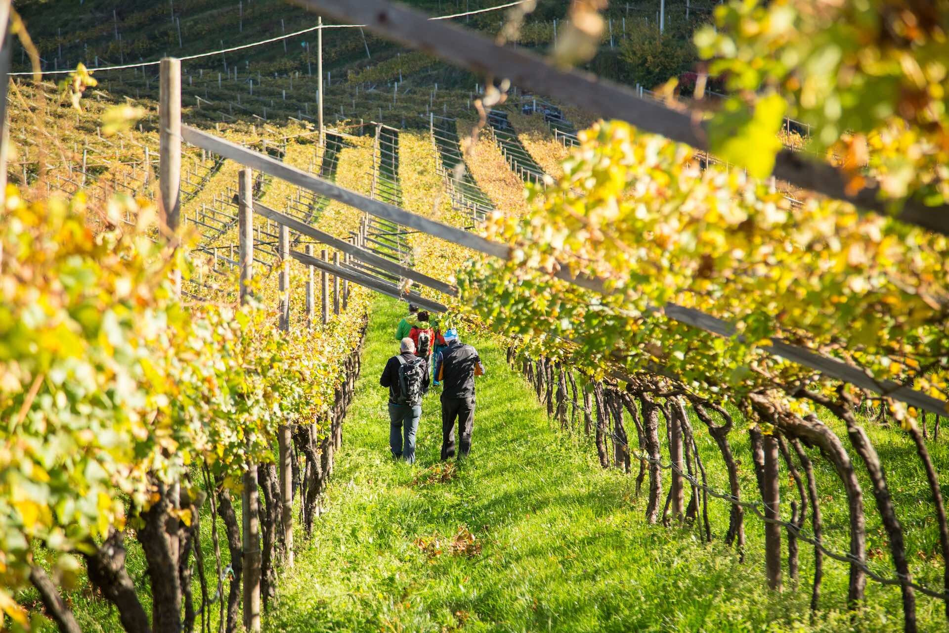 2017 10 27 Trekking Autunno   Ph. Alfredo Croce (10)