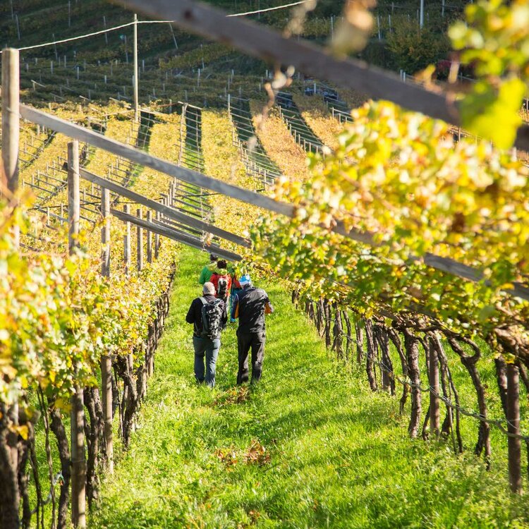 2017 10 27 Trekking Autunno   Ph. Alfredo Croce (10)