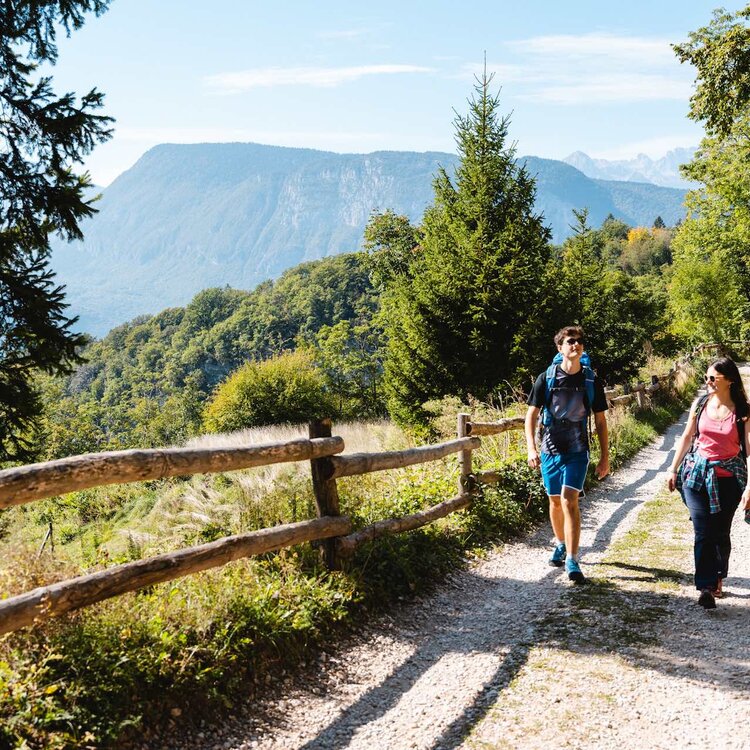 2023 09 27 Monte Di Mezzocorona   Ph. Nicola Cagol (66)