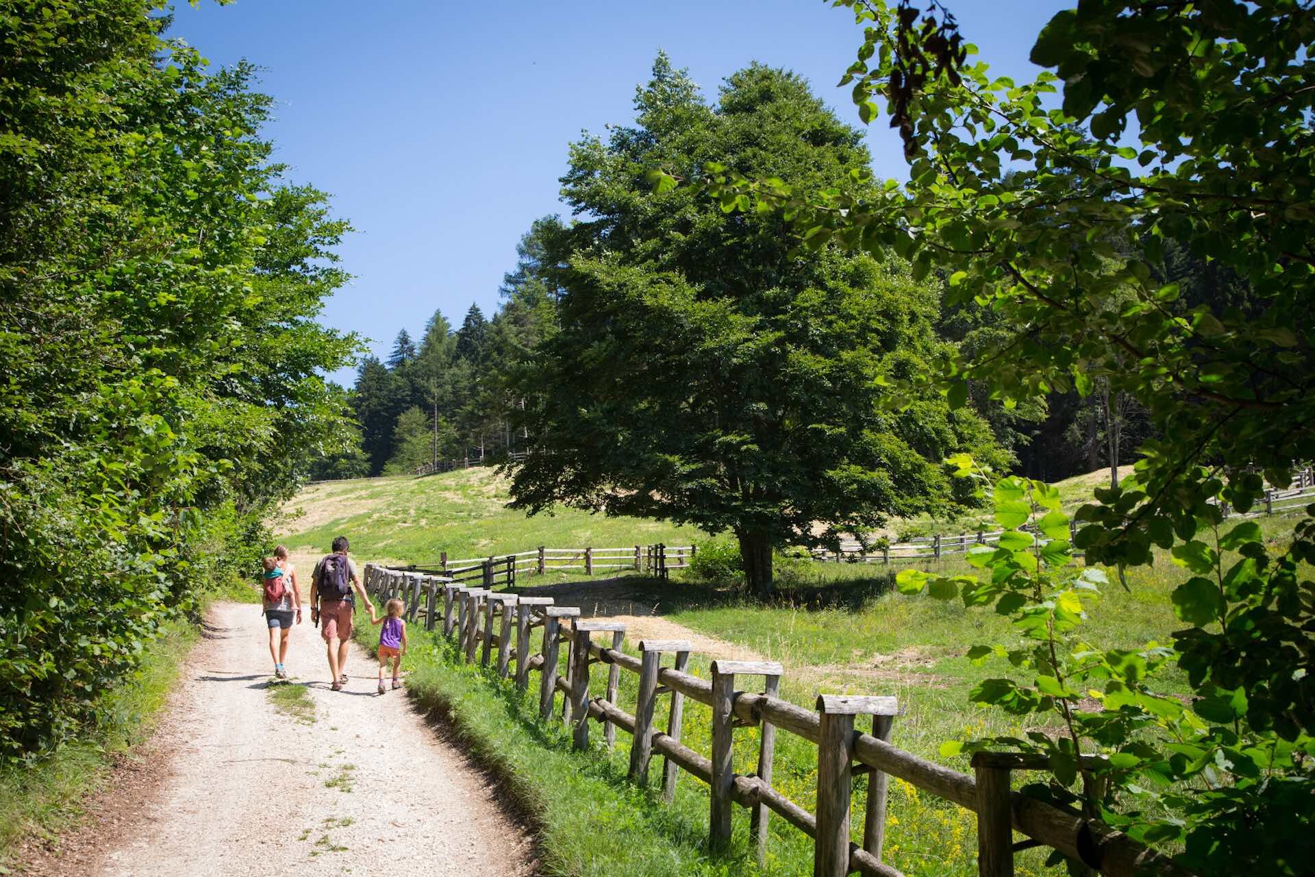 6 Passeggiate poco impegnative in Rotaliana Königsberg