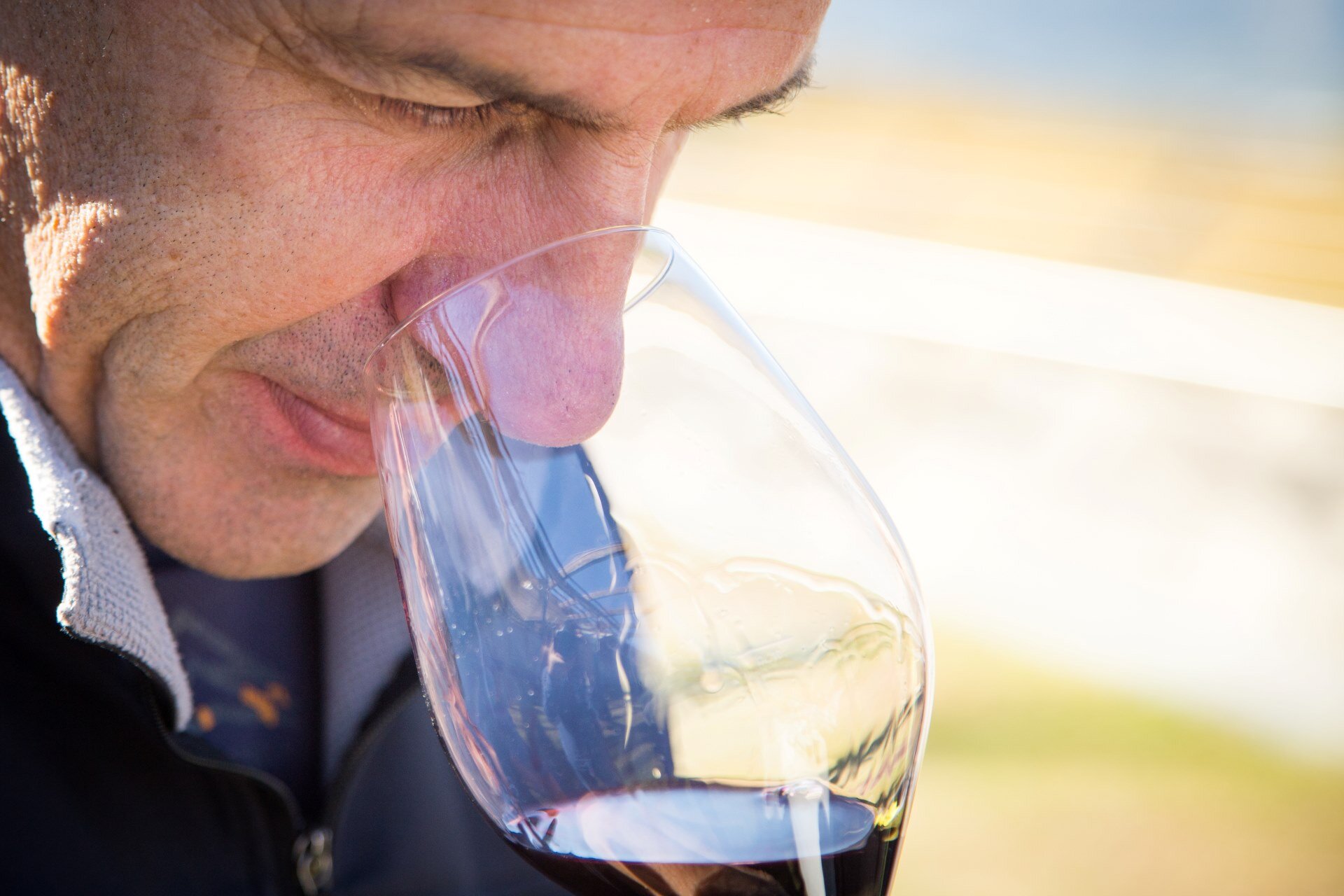 Cabernet Cabernet