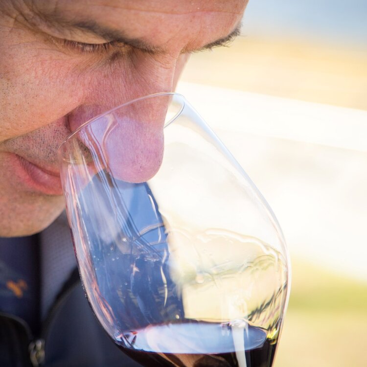 Cabernet