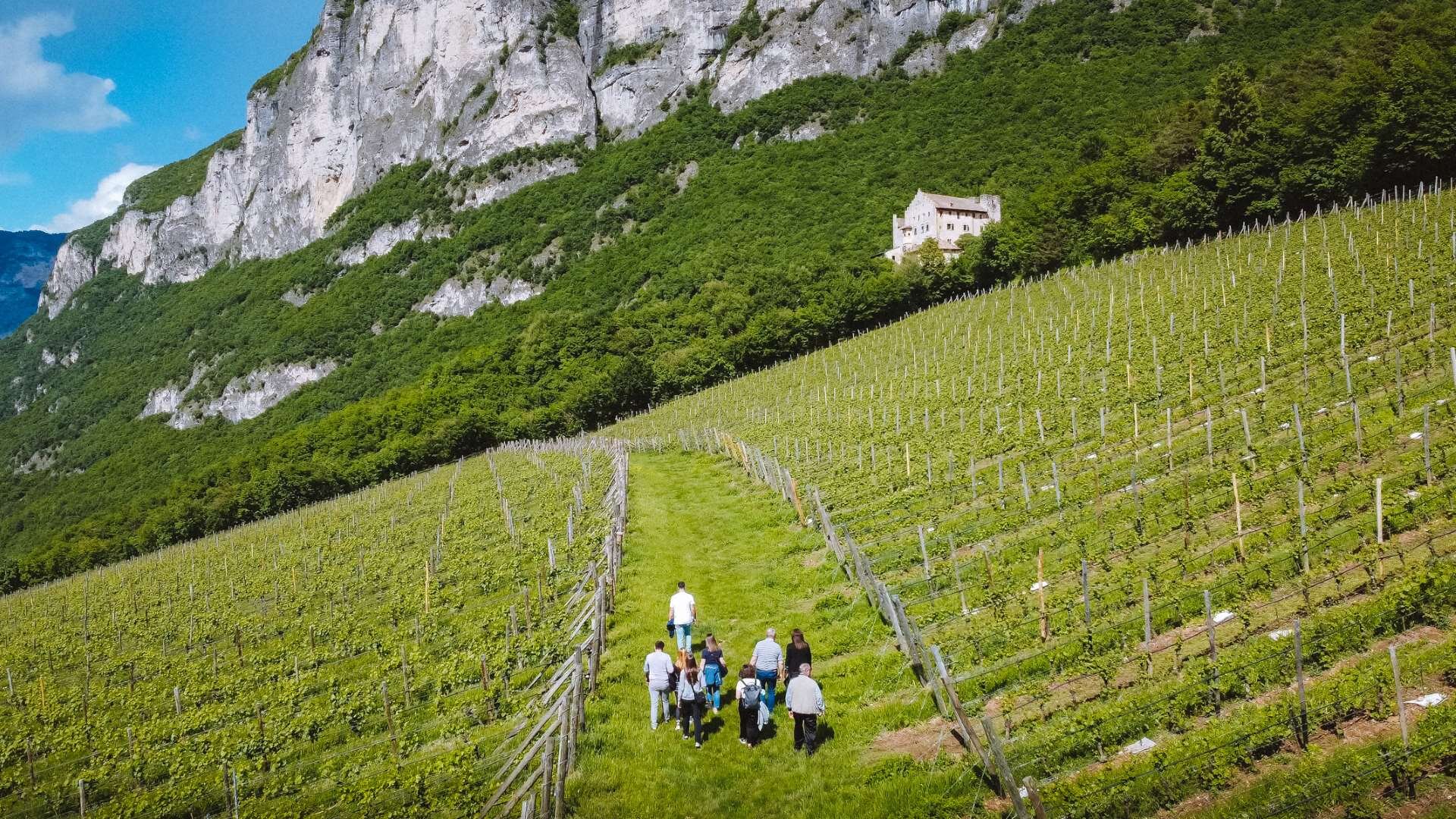 2021 Cantina Endrizzi   Ph. Nicola Cagol (28)