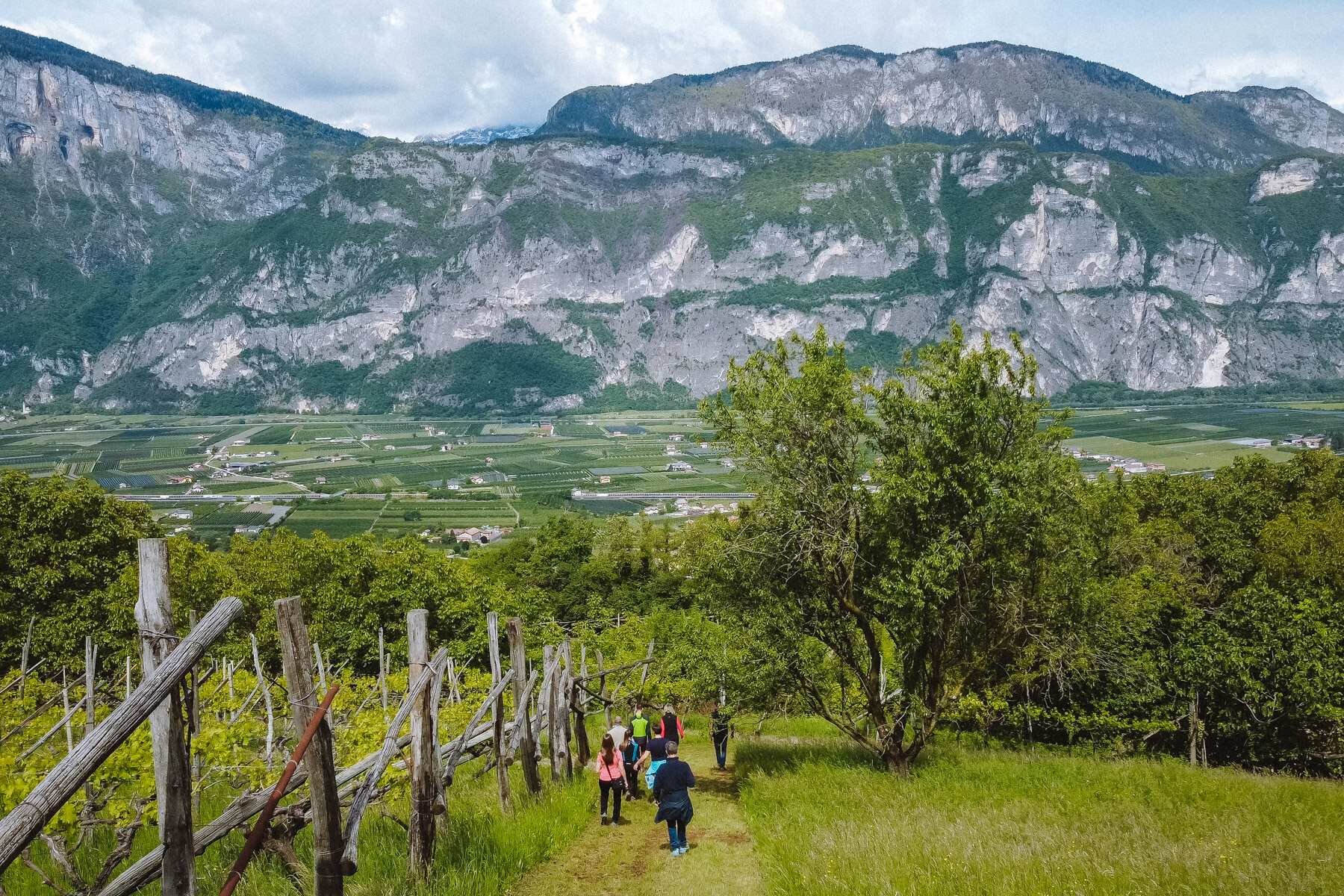 2021 Klinger   Ph. Nicola Cagol (21)