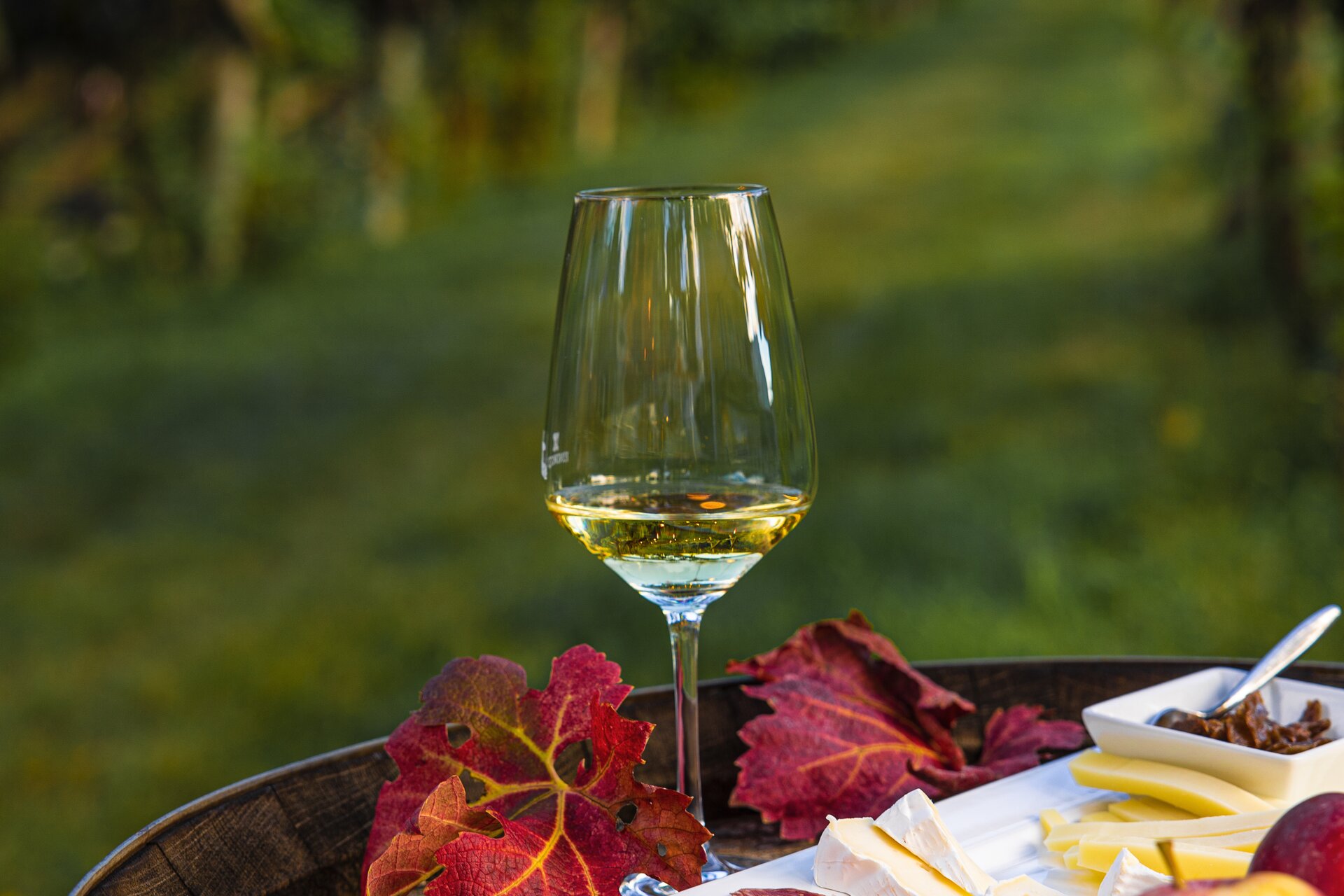 Traminer Aromatico (Gewürztraminer) Traminer Aromatico (Gewürztraminer)