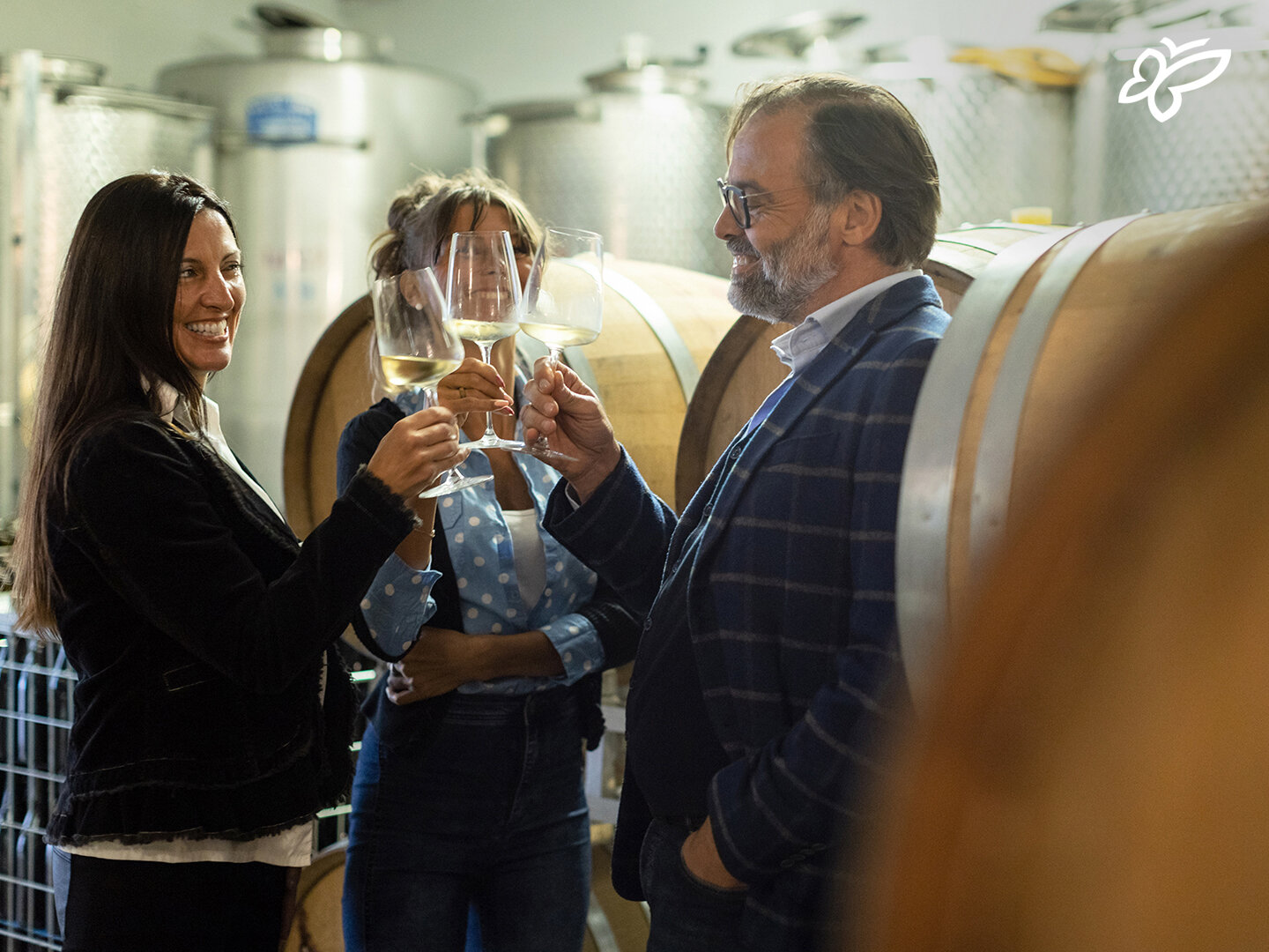 Chardonnay Chardonnay