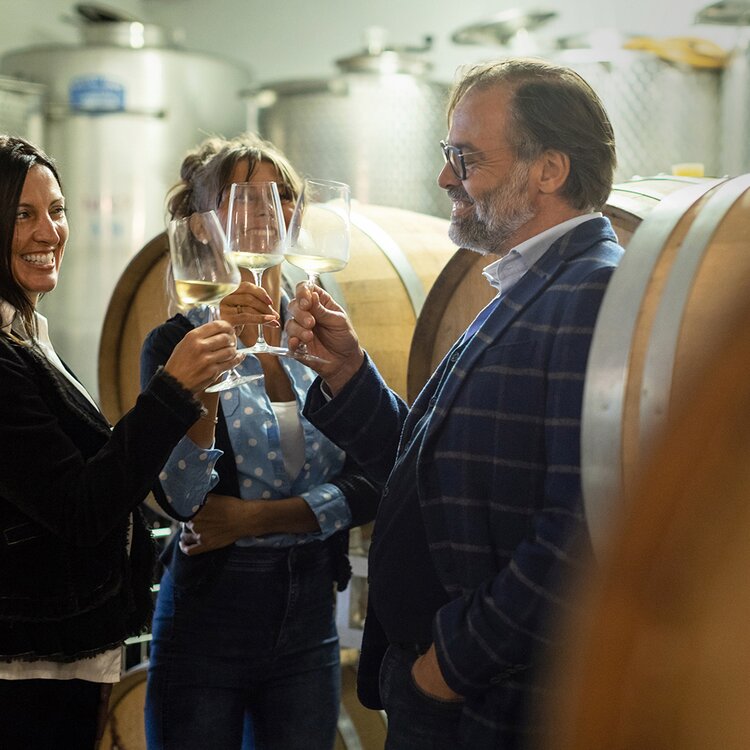 Chardonnay 