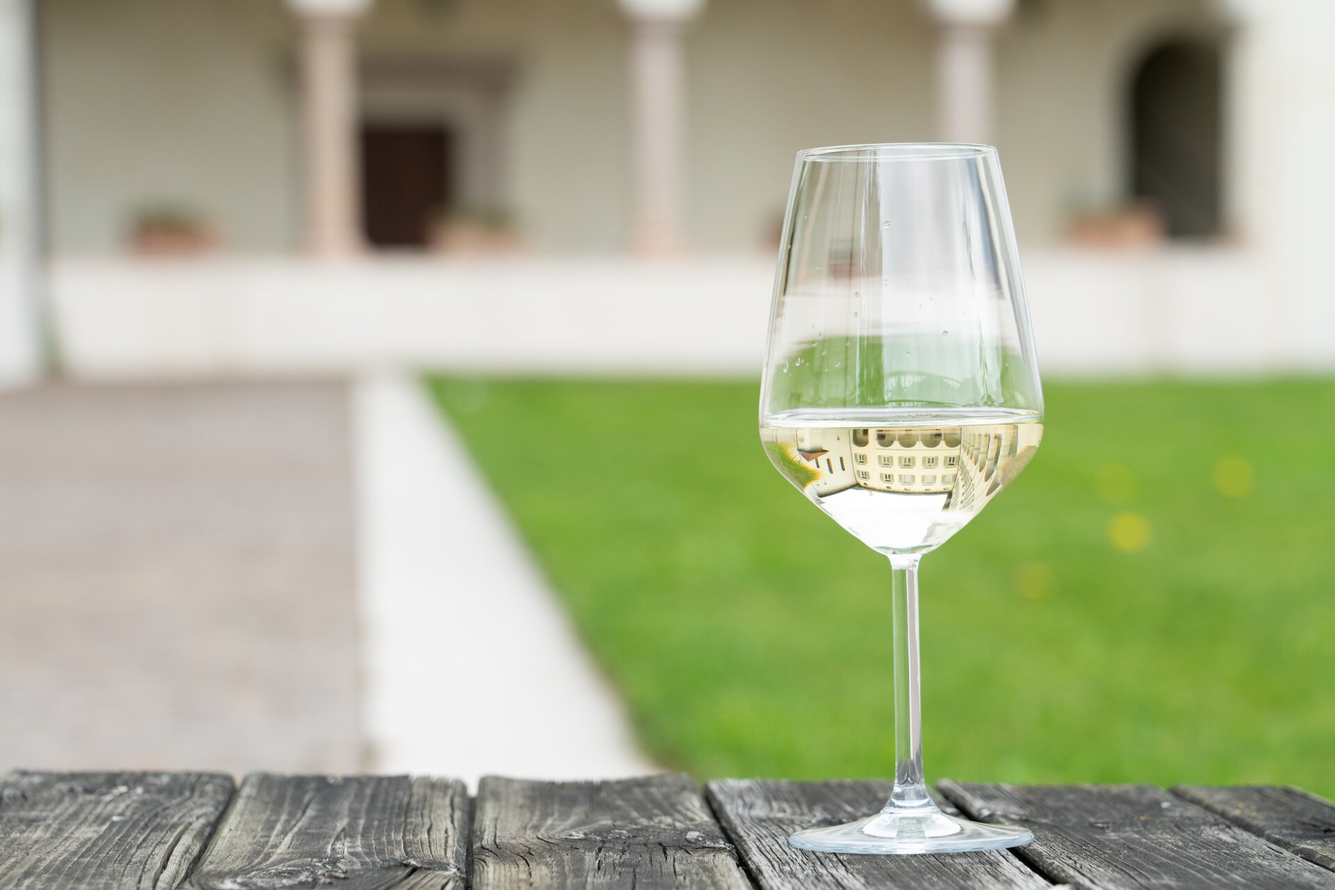 Pinot Bianco Pinot Bianco