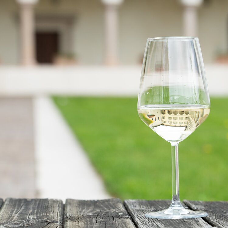 Pinot Blanc