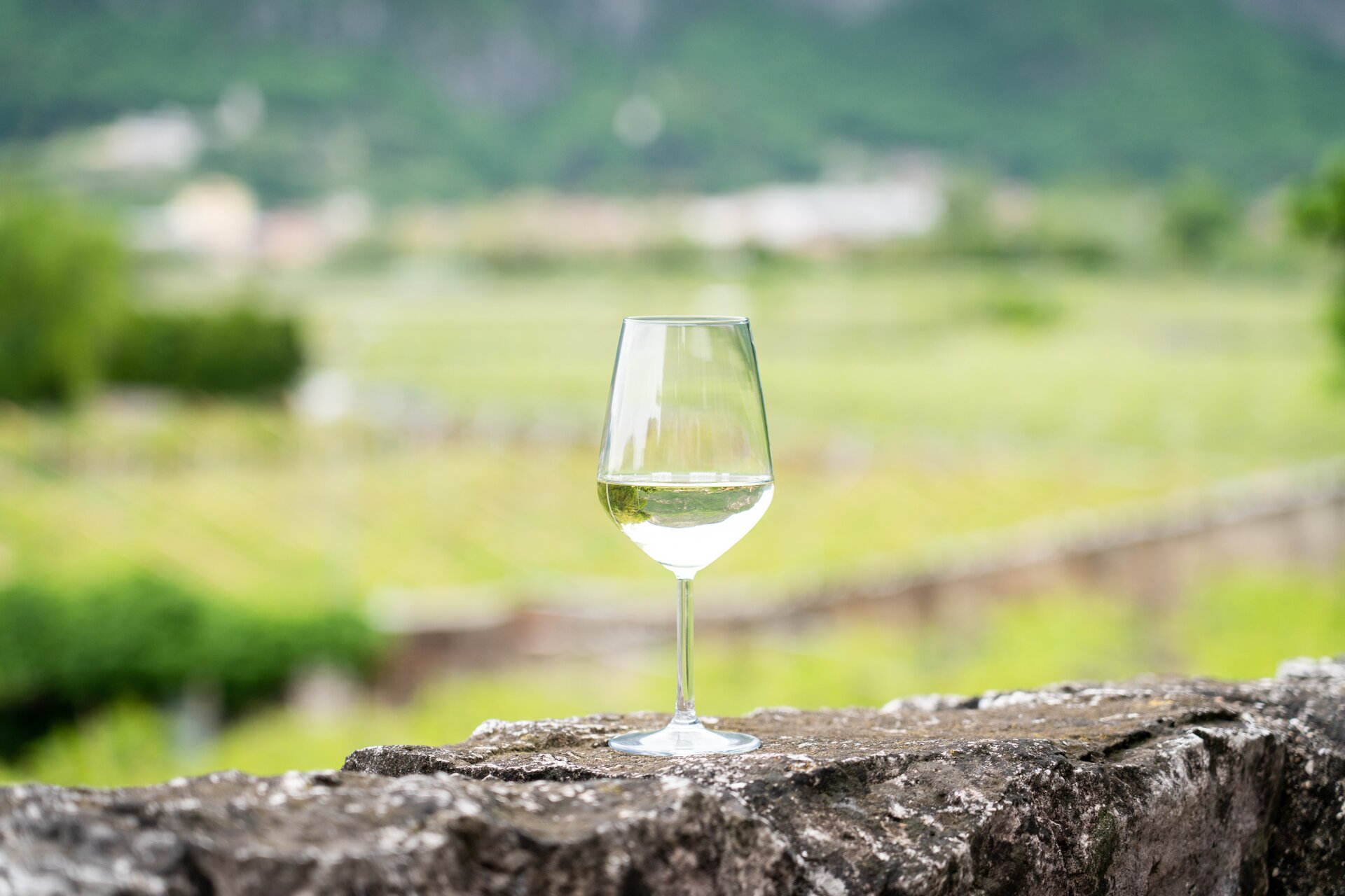 Moscato Moscato