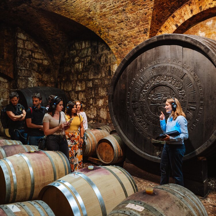 2022 Esperienza Cantina Donati Ph Nicola Cagol 3